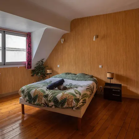 Spacieux Au Cœur D'angers étage 3 - 6 Personnes